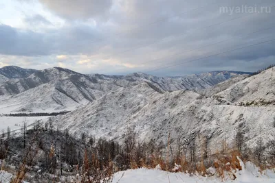 Фотоальбом зимы в Горном Алтае: Подберите идеальный размер