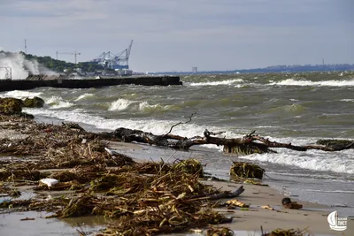 Фотка Арт-деко здания в городе Приморск на фоне Черного моря