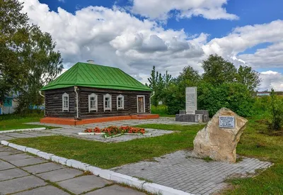 Фото жуков для скачивания бесплатно