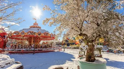 Зимний этюд: Фотографии и изображения городского красивого пейзажа