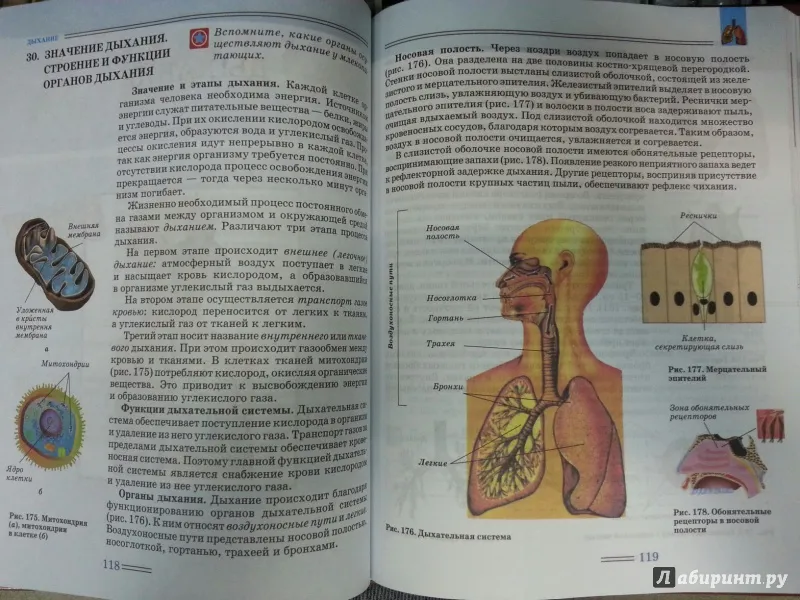 Книга биологии 9