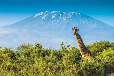 Великолепная горная панорама: фотографии гор Африки, оставляющие впечатление