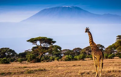 Всевышние вершины: фото величественных горных массивов Африки
