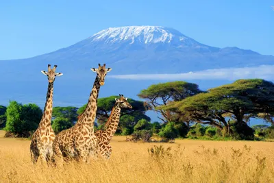 Красоты Африканских гор: загрузите HD фото бесплатно