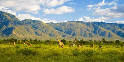 Скачать обои гор Африки для iPhone: потрясающие пейзажи на экране