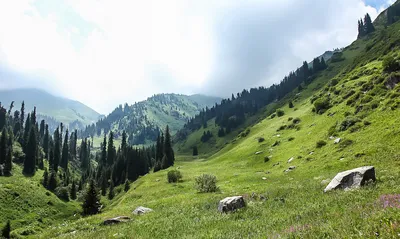 Величие Гор Алатау во всей красе: фотоотчет