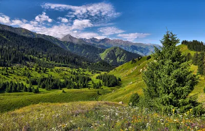 Восхитительные вершины Гор Алатау на фотографиях