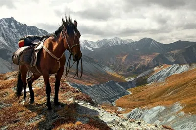 Откройте тайны Алтайских гор: фотографии, окутанные загадкой