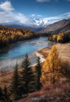GIF-изображения гор Алтай: дыхание природы в движении