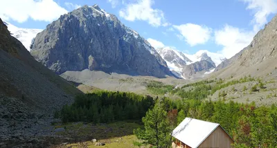 Очарование Алтайских гор: фото для iPhone X и iOS 15.