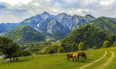 Очарование азербайджанских пиков: фотоотчет с захватывающими видами