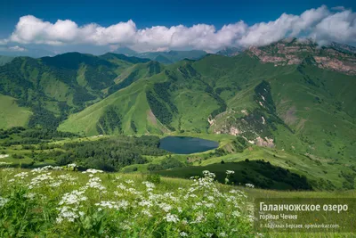 4K фотографии гор Чечни: увидьте каждую мельчайшую деталь.