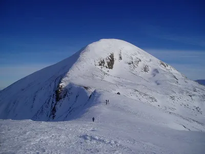 Картинка горы Говерла