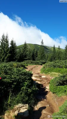 Фотка горы Говерла для андроид-устройств бесплатно