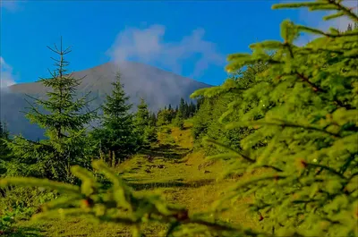 Фото горы Говерла на андроид для бесплатного скачивания