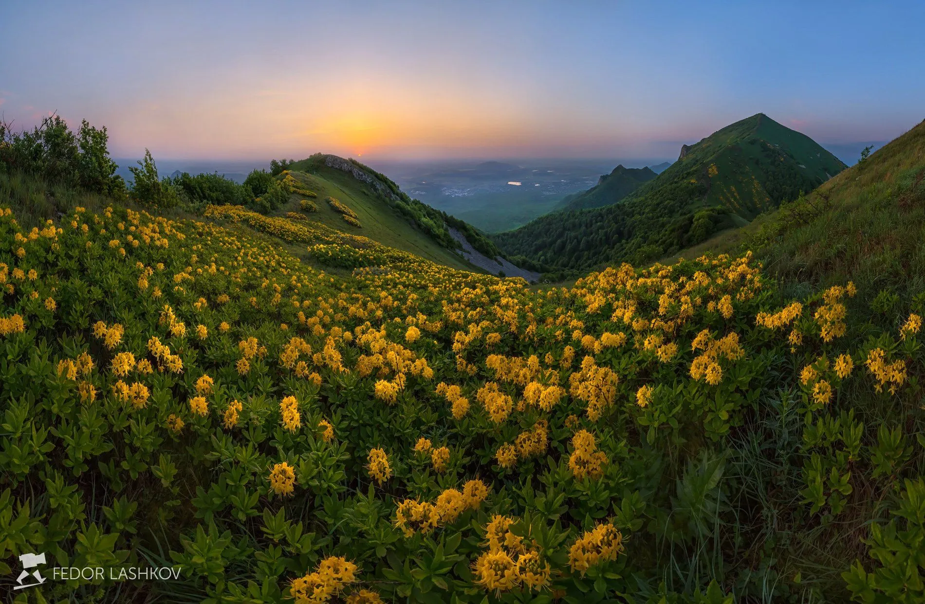 Фото горных вершин в HD качестве: обои на телефон и рабочий стол | Горы и  цветы Фото №1039087 скачать