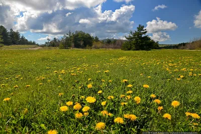 Фото горных ландшафтов: скачать бесплатно в хорошем качестве