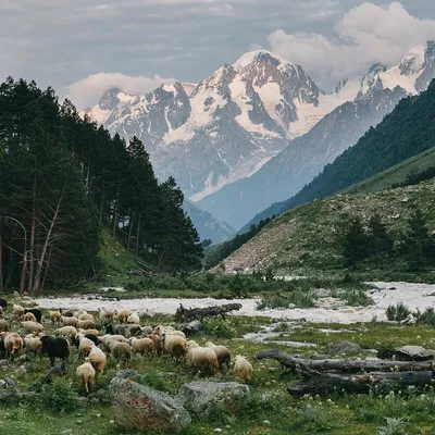 Мощь и величие гор Кабардино-Балкарии на фото