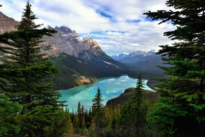 Встреча с вечностью: Удивительные горы Канады на снимках