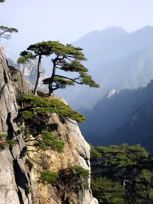 Бесплатные фото горы Хуаншань в хорошем качестве: насладитесь красотой без ограничений