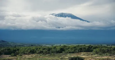 Обои на рабочий стол с изображением Килиманджаро