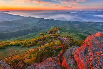 Открой сокровищницу природы: фотоальбом Гор Крыма