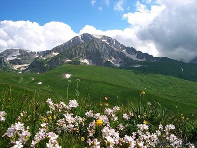 Величественные фото Горы лаго наки в формате JPG