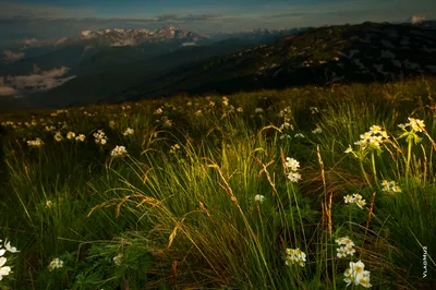 Фото Горы лаго наки в PNG формате бесплатно