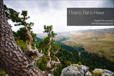 Великолепие Гор лаго наки на фотографиях