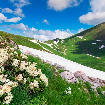 Путешествие в Горы лаго наки: впечатление на фото