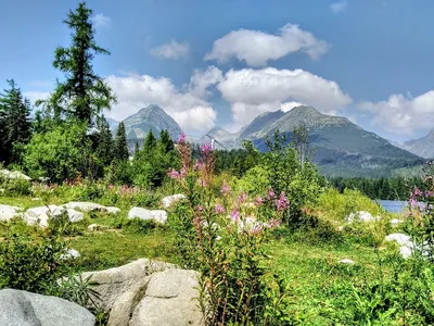 Фотографии гор с прекрасным летним видом