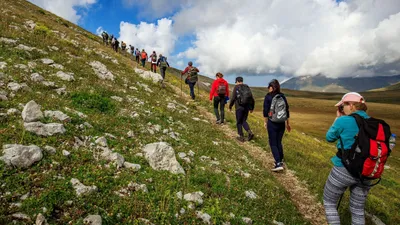 Летние горные пейзажи: превосходные фотки на андроид для любителей природы