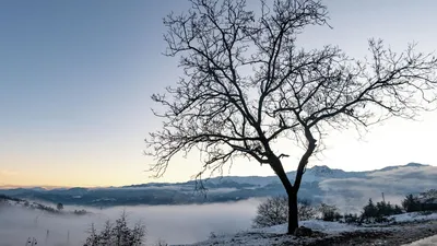 Величественная красота гор ночью