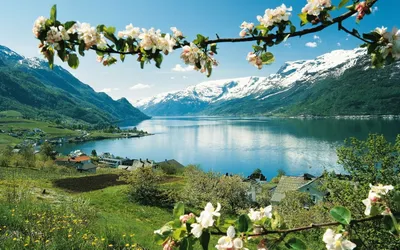 Горная вечность Норвегии на фото: потрясающие кадры