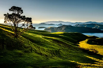 Погрузитесь в красоту новозеландских гор через фото в 4K разрешении