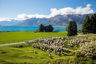 Величественная красота Гор Новой Зеландии