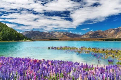 Впечатляющие виды горных пейзажей в Новой Зеландии