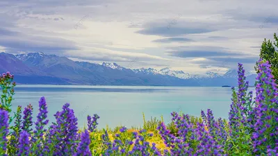 Удивительные фотографии гор Новой Зеландии для скачивания
