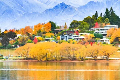 Изображение гор Новой Зеландии, которое оставит вас без слов!