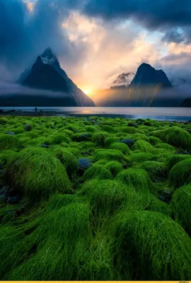 Рисунок гор Новой Зеландии: ловите моменты в искусстве природы!