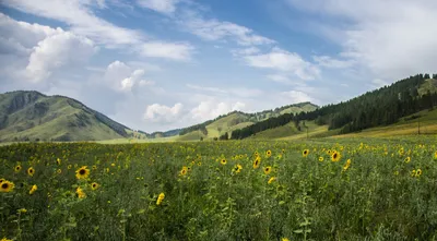 Приключение в горах: увлекательные фотографии гор России