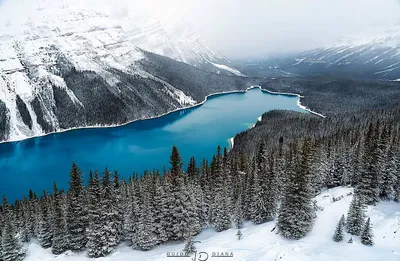 Величественные вершины: прекрасное фото гор Северной Америки