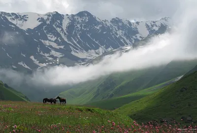 Панорамные фото гор Северной Осетии: впечатляющая красота в высоком разрешении (4K)!