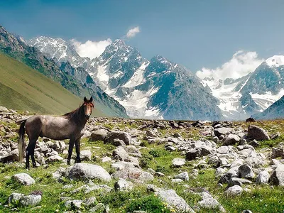 Прикоснись к магии гор Северной Осетии с помощью фотографий