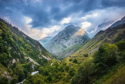 Вечное розовое сияние: Вершина Имарат