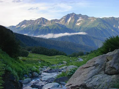 Живописные горы Сочи на фото: бесплатное скачивание PNG, JPG, WebP!