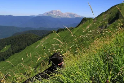 Изумительные горы Сочи на фото: скачивайте в хорошем качестве, доступны все форматы!