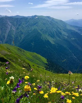 Фото горного пейзажа Сочи: красота в каждом кадре, доступно во всех форматах!