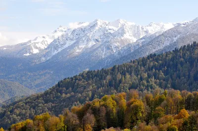 Бесконечная красота гор Сочи на фото: скачивайте бесплатно в высоком качестве!