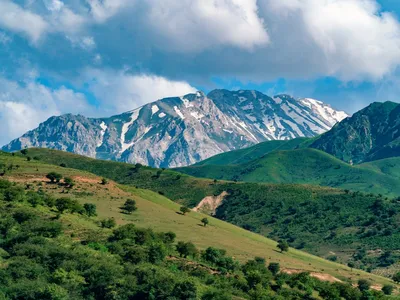 Красивые виды гор Ташкента на фото